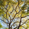 Thumbnail of related posts 157