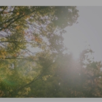 Thumbnail of post image 040